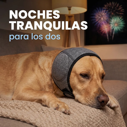 CanCalm Pro protector de orejas para perros