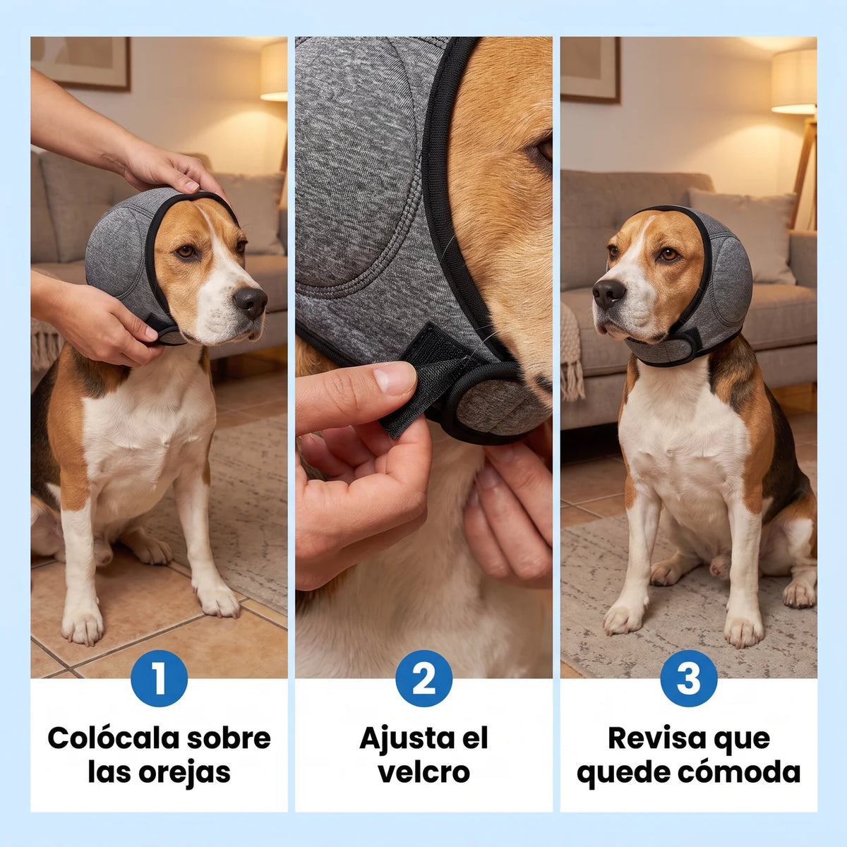 CanCalm Pro 04-pasos