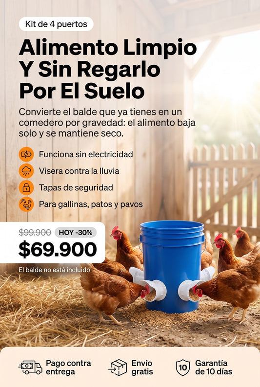 Comedero automatico para aves, kit de 4 puertos